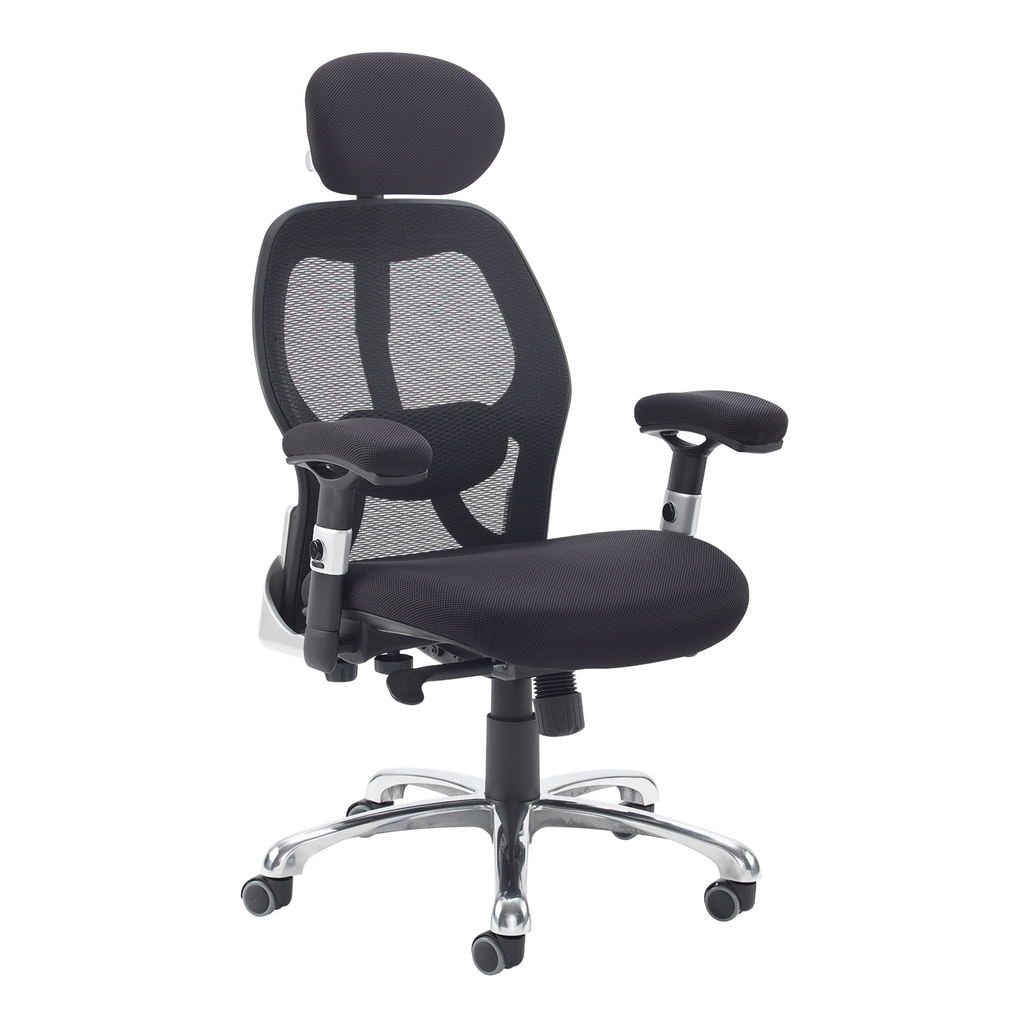 Picture of Sandro mesh back executive chair with black air mesh seat and head rest