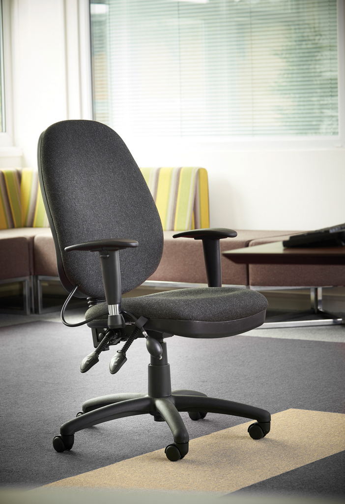 Picture of Sofia adjustable lumbar operators chair - charcoal